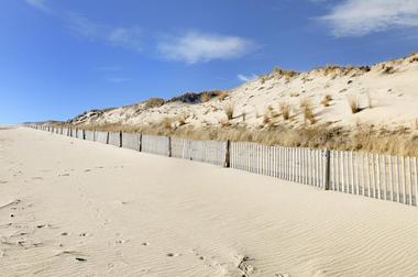 Best Delaware Beaches: Cape Henlopen State Park